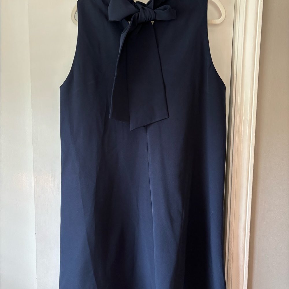 Tuckernuck Sleeveless Navy Blue Dress with Bow